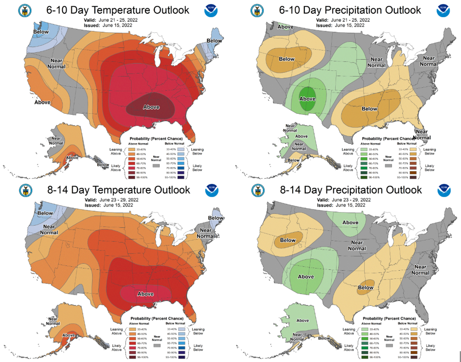 The 6-10 day (June 21-25, top) and 8-14 day (June 23-29, bottom) outlooks for temperature (left) and precipitation (right).